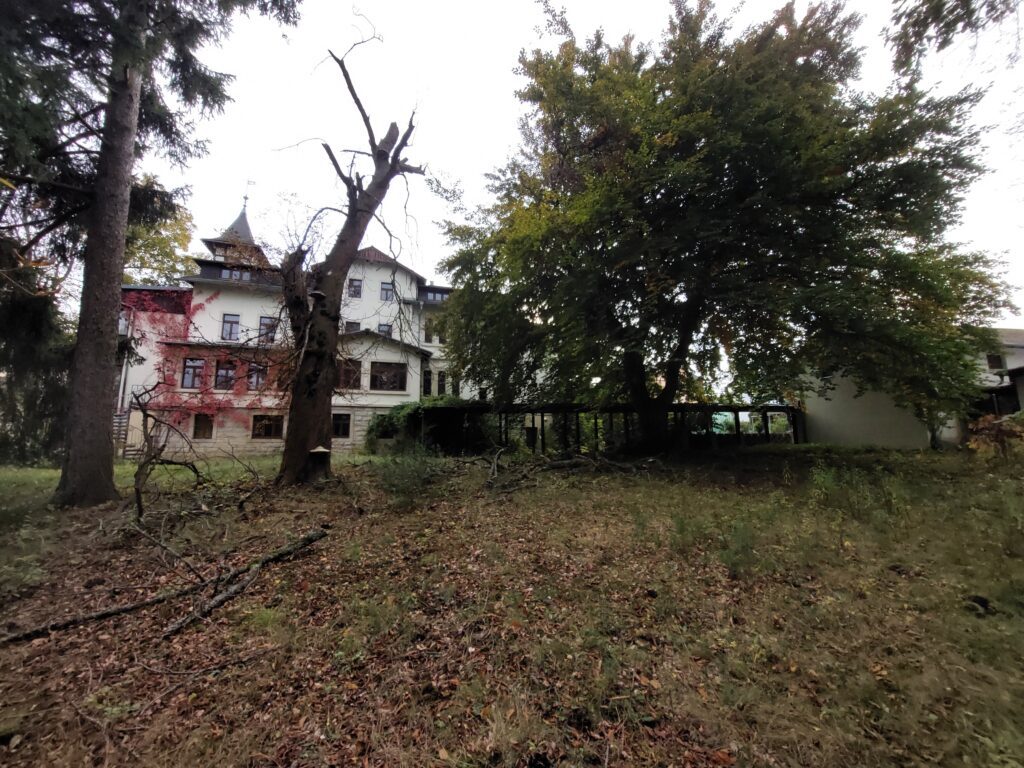 Großes weißes Haus mit Turm hinter einem wilden Garten mit Bäumen, Gestrüpp und herabgefallenen Ästen.