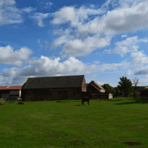 Großer grüner Hof mit altem Wirtschaftsgebäude und einem Pferd auf der Weide unter blauem Himmel mit Wolken.