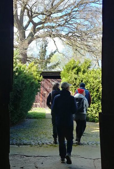 Hofdurchgang mit imposantem Baum