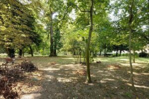 Park